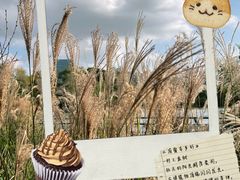 -世纪公园-世纪春沁园