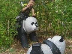 -武清南湖绿博园
