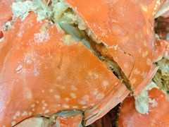 -北塘海鲜·天津菜·鲅鱼水饺是一绝(大光明桥旗舰店)