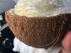 -东郊椰林