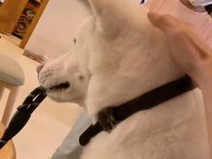 -餐酒吧Com-ing Bar(上海路店)