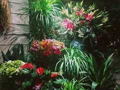 -春暖花开(西溪店)