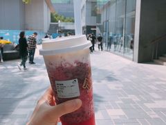 多肉杨梅-喜茶(北京三里屯太古里店)