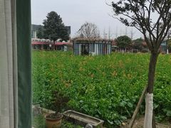 -洪湖家庭农场·团建·露营·会议