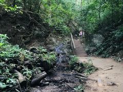 -西双版纳原始森林公园