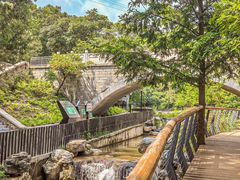 -白水寺森林公园