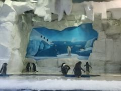 -华夏文旅海洋公园