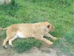 -西安秦岭野生动物园