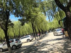 -清东陵