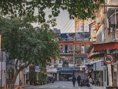-溪岸路花鸟市场