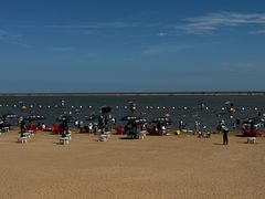 -碧海金沙