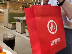 -海底捞火锅(铂澜大象城店)