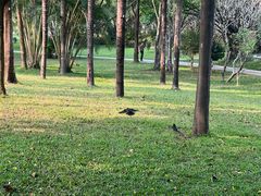 -荔香公园