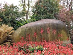 -上海海湾国家森林公园