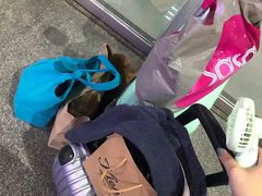 -珠海拱北口岸