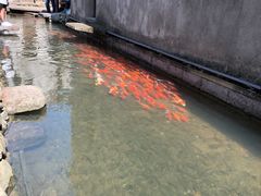-前童古镇