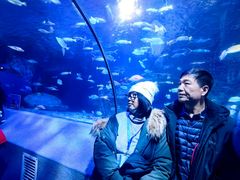 -太平洋海底世界