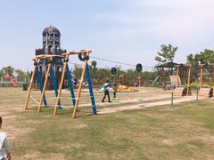 -上海长兴岛郊野公园