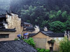 -杨家堂村