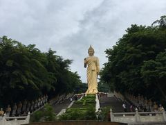 -西双版纳勐泐文化旅游区