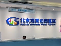 -北京观赏动物医院·24小时大型综合·猫专科·异宠专科