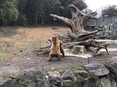 -宁波野生动物园
