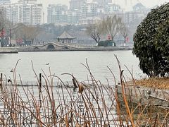 -济南大明湖景区