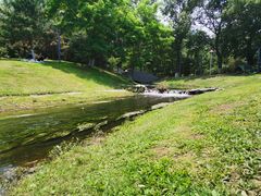 -长白岛森林公园