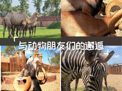 -南昌动物园