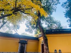 -灵岩山风景区