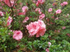 -梧桐山风景名胜区