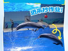 -石家庄极地海洋世界
