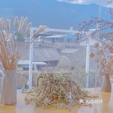 大理古城里的咖啡店
