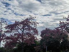 -厦门高崎国际机场-T3航站楼