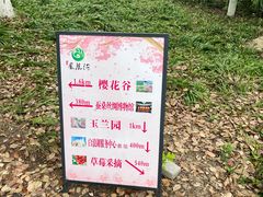 -凤凰沟景区