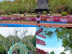 -上海鲜花港