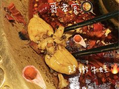 -哥老官重庆美蛙鱼头(龙湖杭州金沙天街店)