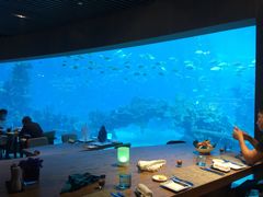 -海棠湾洲际-涛·海底餐厅·美人鱼·自助餐·海底隧道