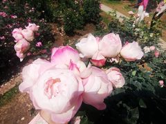 -人民公园(罗湖区)