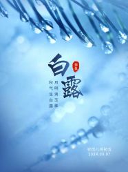 -雅曼妮spa美容养生