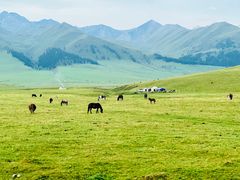 -新疆那拉提国家旅游度假区