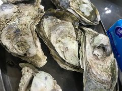 -蚝专家(北滘店)