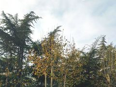 -山东理工大学