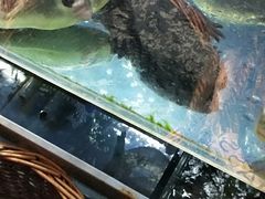 -同福小馆(北摆宴街店)