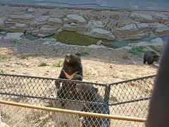 -大连森林动物园