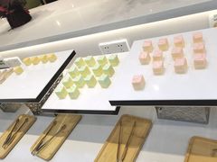 -田素(稻田创业小镇店)