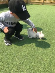 -萌宠亲子动物乐园(槐房万达店)