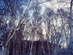 -多乐美地滑雪场