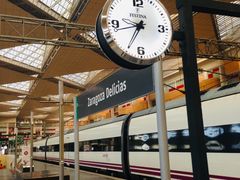 -皮拉尔圣母圣殿主教座堂