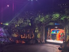 -广州长隆国际大马戏